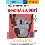 Můj pracovní sešit: Snadná bludiště - Toshihiki Karakido a kol. (2018, brožovaná)