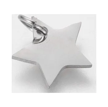 Přívěsek Přívěsek hvězda 12x12mm chirurgická ocel