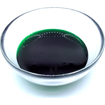 Ochucovací pasta máta 100g