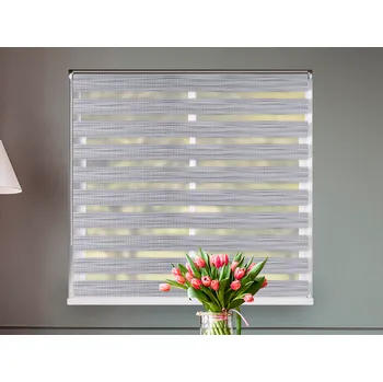 Roleta FEXI Zatemňovací Roleta Den a noc, Bříza, B 003 v POLO kazetě, 150x30 cm