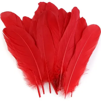 Příze Husí peří délka 15-21 cm - 20 ks - č.4 tm. červená