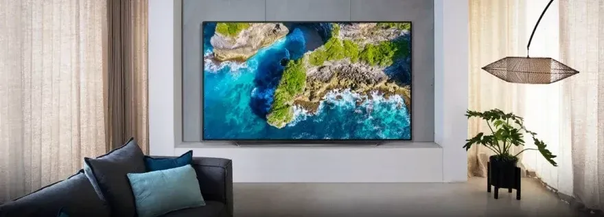 LG 55" OLED (OLED55CX)