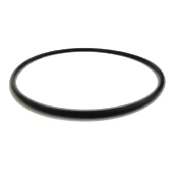 Marimex Prostar 10604195 Těsnění pod krátkou hadici