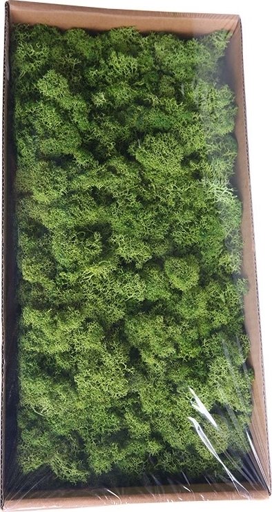 Islandský stabilizovaný, preparovaný mech 500 g mechově zelená