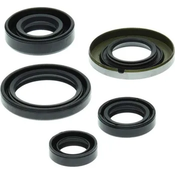 Těsnění motoru Winderosa sada gufer motoru Honda TRX400EX 99-04