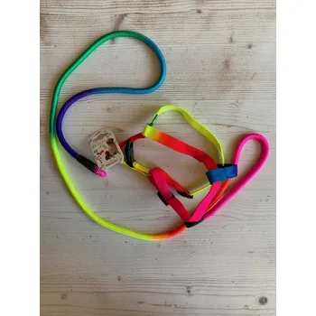 Obojek pro psa Ostatní Vodítko s postrojem pro psa