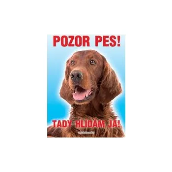 Grel nálepka pozor pes irský set