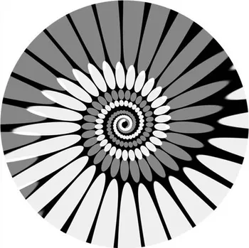 Příslušenství pro gramofon ZOMO Slipmat Paint white