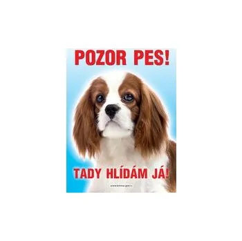 Grel nálepka pozor pes kavalír king