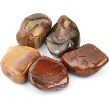 Přírodní kámen Zkamenělé dřevo jumbo