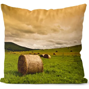 Dekorativní polštářek Polštář Pole 40x40 cm (Velikost: 40 x 40 cm)