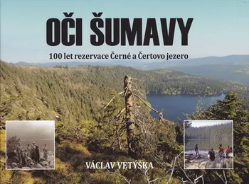 Cestování Oči Šumavy - Václav Vetýška (2017, vázaná)