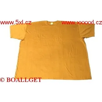 Pánské tričko Pánské tričko hnědé krátký rukáv ODE-P60023 - 180