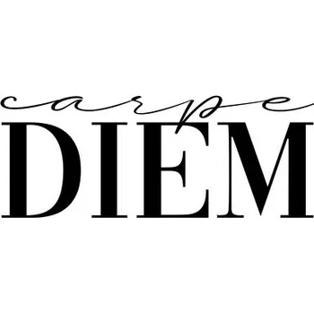 Plakát Plakát, Obraz - Carpe diem 2, Finlay & Noa