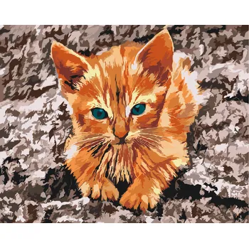 Malování podle čísel - Kotě odpočívající na skále Velikost: 40x50cm, Rámování: Pouze srolované plátno