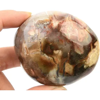 Přírodní kámen Zkamenělé dřevo hladký kámen 180g