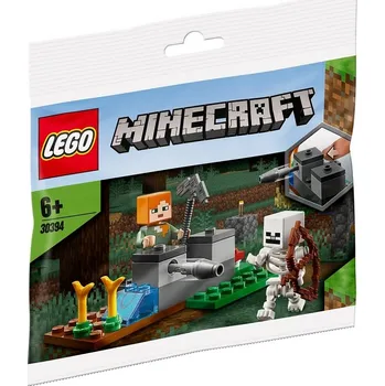 Stavebnice LEGO LEGO Minecraft 30394 Obrana proti kostlivcům