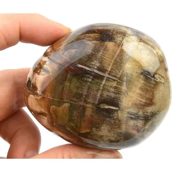 Přírodní kámen Zkamenělé dřevo hladký kámen 209g