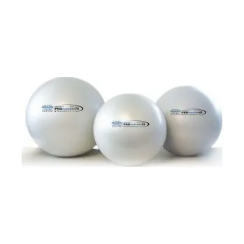 Gymnastický míč Pezzi PEZZI PROMAXAFE míč, stříbrný, sáček, 65 cm