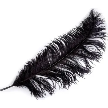 Výtvárné potřeby Pštrosí peří délka 60 cm, barva 12 černá