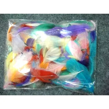 Peříčka dekorační 30 ks