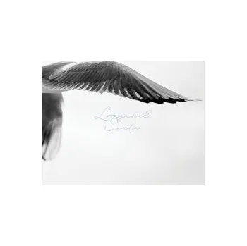 Česká hudba Suita / Digipack - Longital [CD]