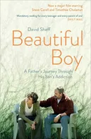 Beautiful Boy: A Father´s Journey Through His Son's Addiction - David Sheff [EN] (2018, brožovaná)