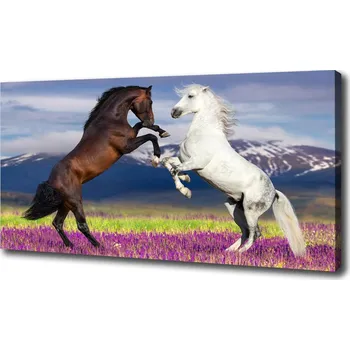 Obraz WallMuralia.cz oc-113344185 Obraz na plátně 100 x 75 cm Koně hory