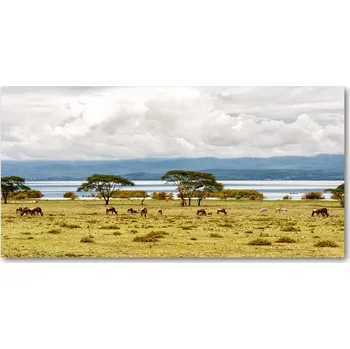 Obraz Foto obraz fotografie na skle Jezero Naivasha