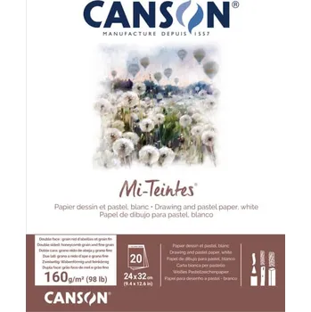Umělecký papír Canson Mi-Teintes blok lepený 24 x 32 cm 31027P001 bílý