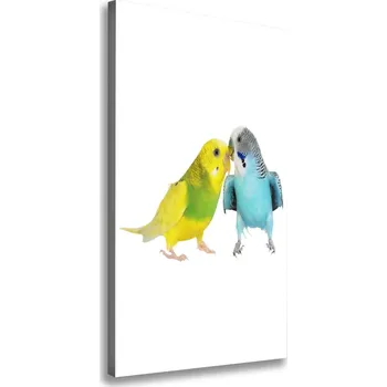 Obraz Vertikální Foto obraz na plátně Andulky