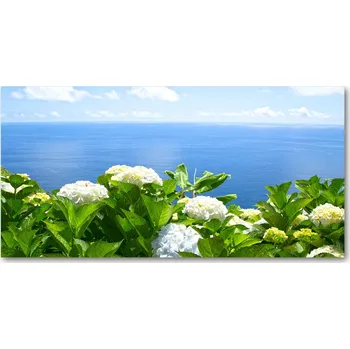 Obraz Foto obraz sklo tvrzené Květiny nad mořem
