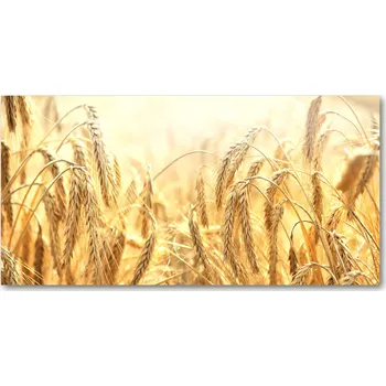 Obraz Moderní foto obraz na stěnu Zboží