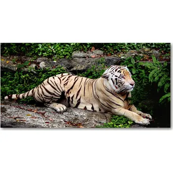 Obraz Foto obraz skleněný horizontální Tygr na skále