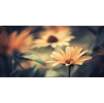 Obraz Foto-obraz fotografie na skle Jarní květ