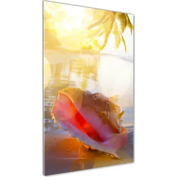 Obraz Foto obraz akrylové sklo vertikální Mušle na pláži