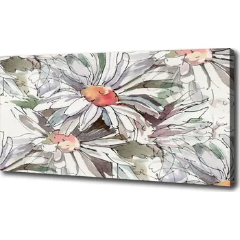 Obraz Foto obraz tištěný na plátně Heřmánek