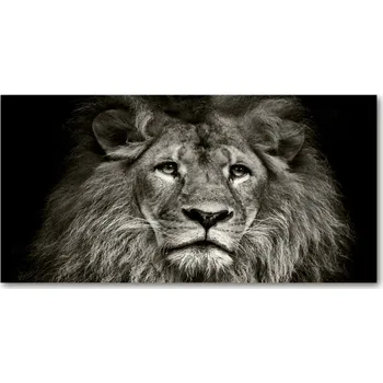 Obraz Fotoobraz na skle Lev