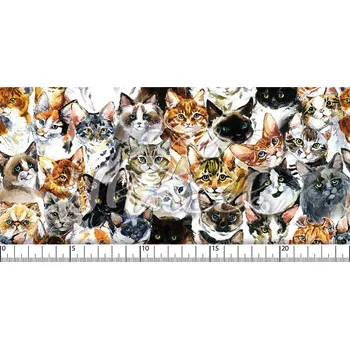 Kočárkovina, Kočičky