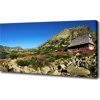 Obraz Foto obraz na plátně Bacovina v údolí