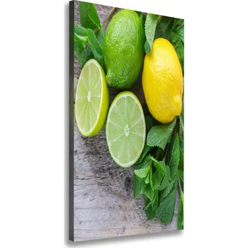 Obraz Vertikální Foto obraz na plátně Limetky a citron