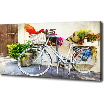 Obraz Foto obraz na plátně do obýváku Bílé kolo