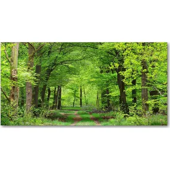 Obraz Foto obraz skleněný horizontální Jarní les