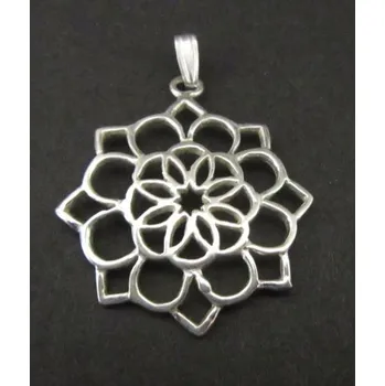 Přívěsek Zajímavý květ - stříbrný přívěsek