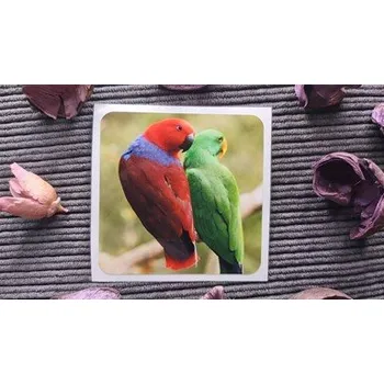 samolepka Eklektus různobarvý