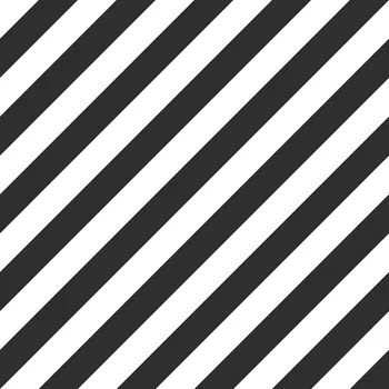Tapeta Vliesová tapeta na zeď, šikmé černé a bílé pruhy 139112, Black & White, Esta