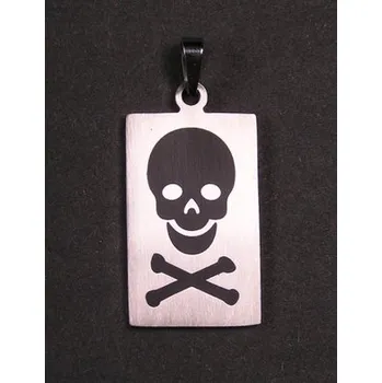 Přívěsek Lebka na placce - ocelový přívěsek / přívěsek z oceli (Lebka na placce (chirurgická ocel))