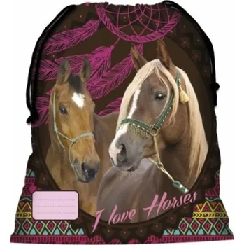 Školní sáček Pytlík na boty, KONĚ S LAPAČEM, 1ks