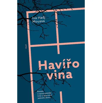 Kniha Havířovina - Iva Hadj Moussa (2022) [E-kniha]