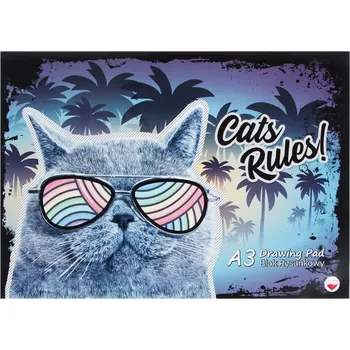 Zápisník Skicák A3 s kočkou